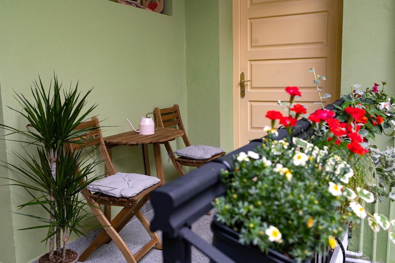 Casa Zielinski ซิวิโชอารา ภายนอก รูปภาพ