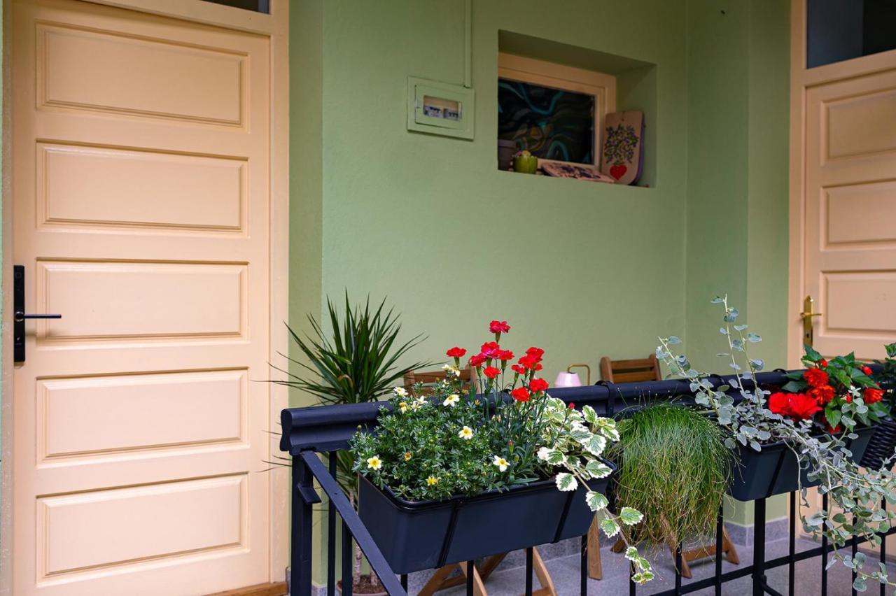 Casa Zielinski ซิวิโชอารา ภายนอก รูปภาพ